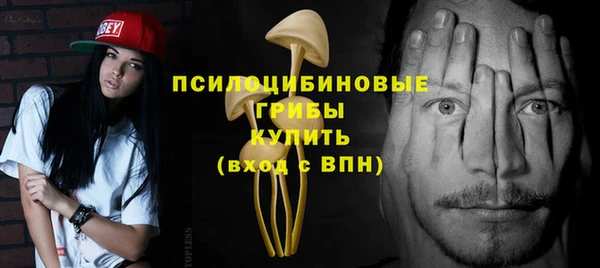 прущие грибы Армянск
