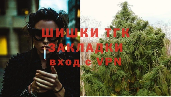 гидра Алзамай