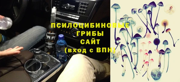 ГАЛЛЮЦИНОГЕННЫЕ ГРИБЫ Алексеевка