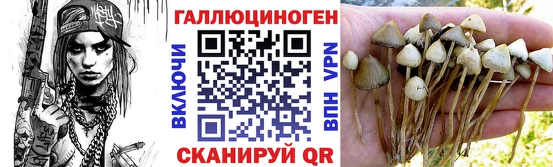 Псилоцибиновые грибы мухоморы  Кадников 